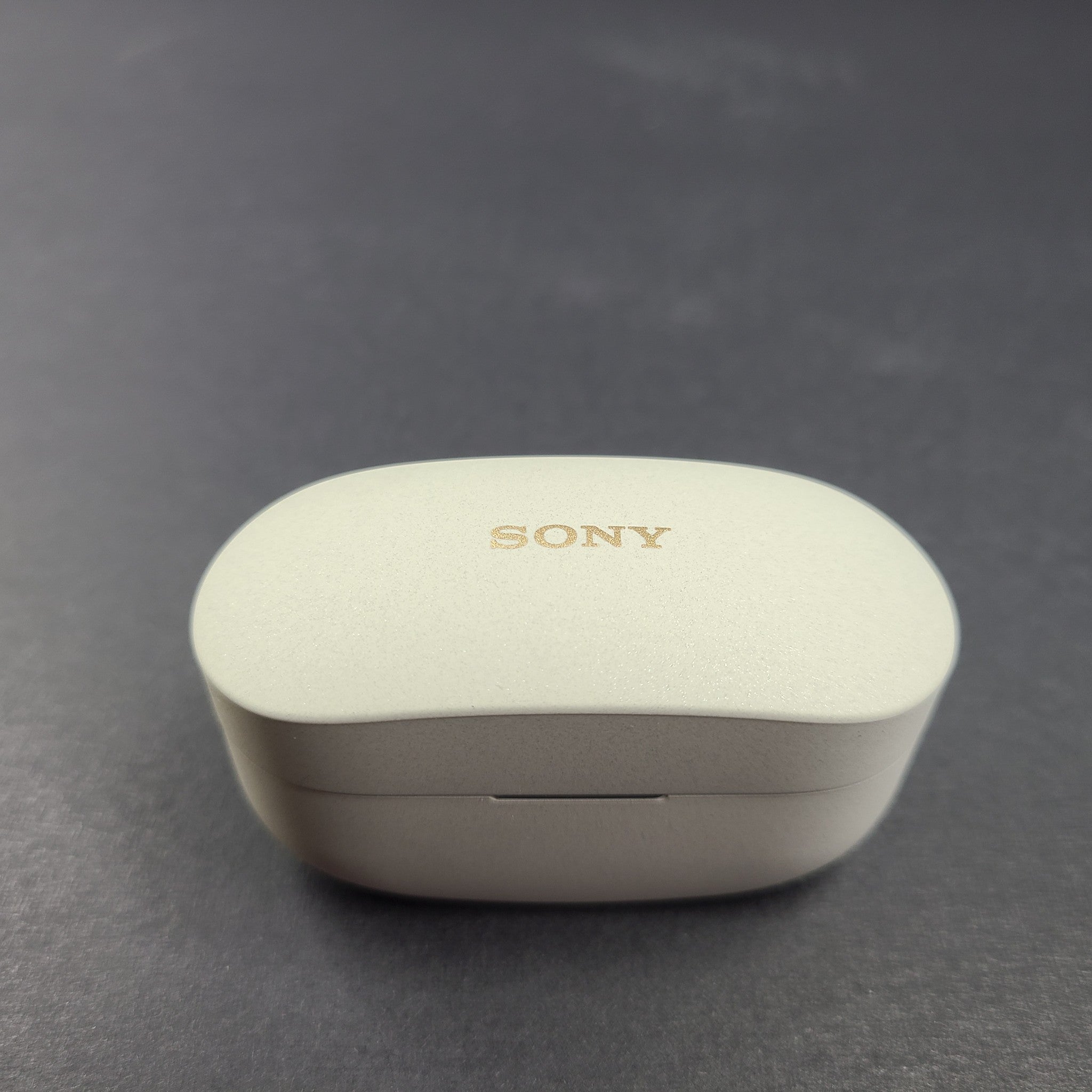 Sony WF-1000XM4 Earbud Replacement Charging Case - Silver Gray