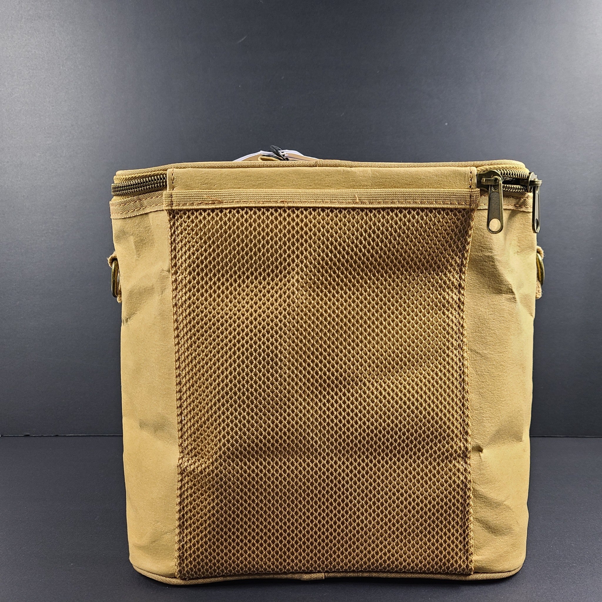 SoYoung Lunch Poche Kraft Paper University of Toronto Lunch Tote Insulated NEW