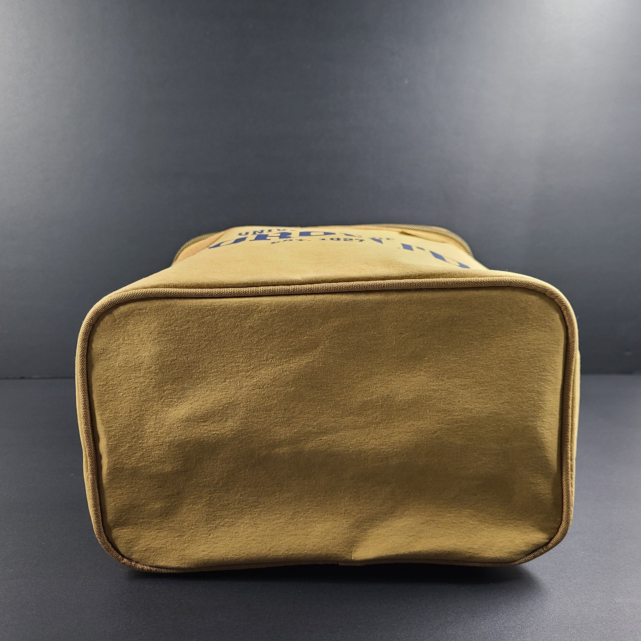 SoYoung Lunch Poche Kraft Paper University of Toronto Lunch Tote Insulated NEW