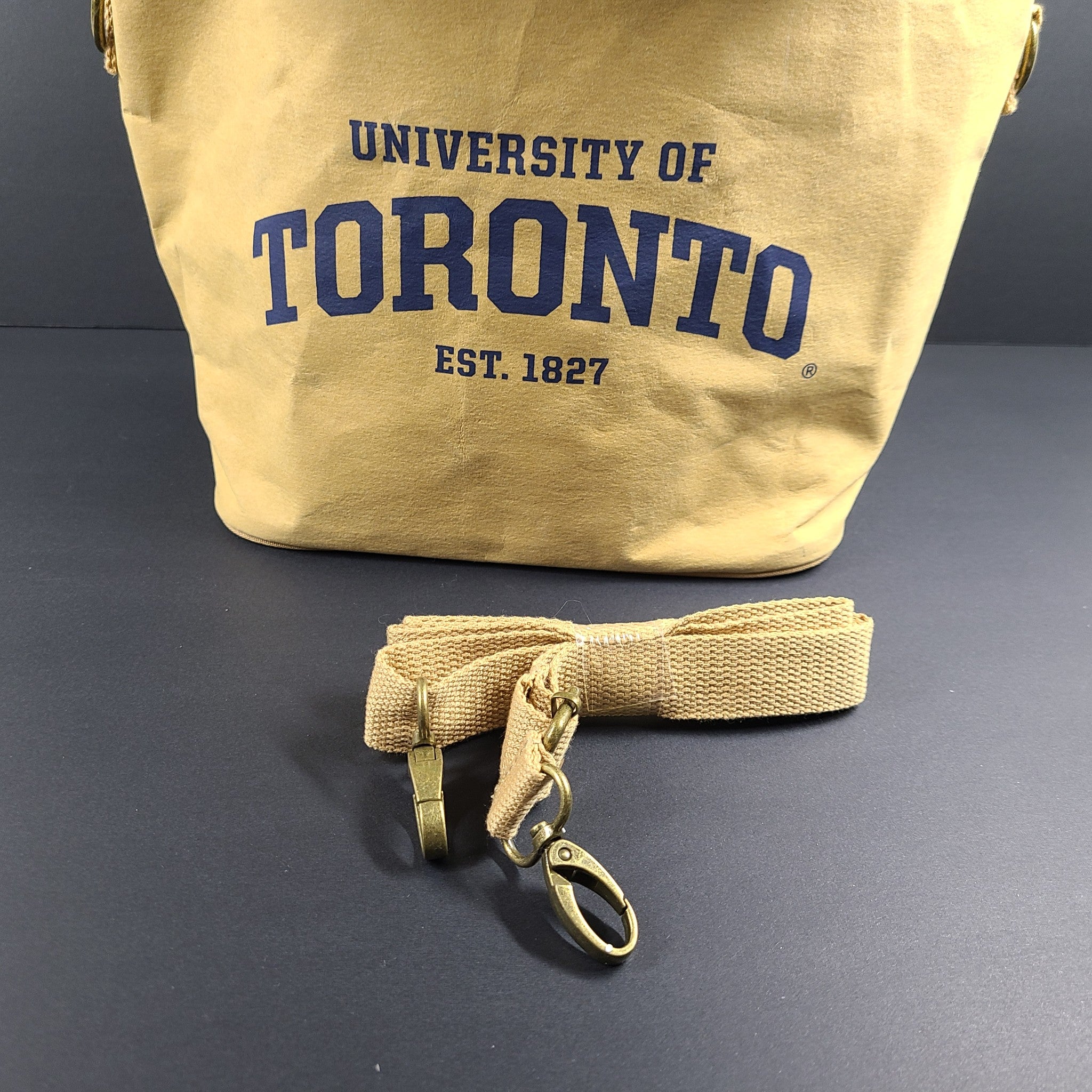 SoYoung Lunch Poche Kraft Paper University of Toronto Lunch Tote Insulated NEW