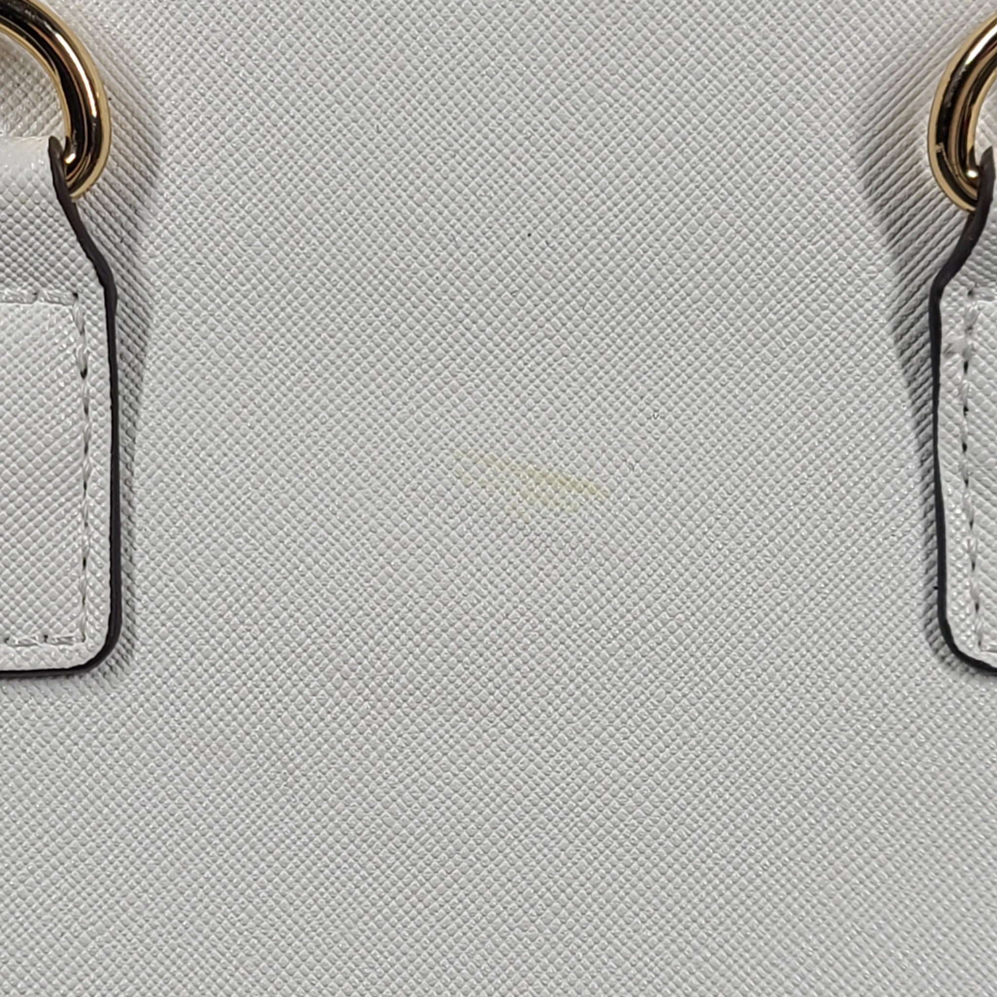 Aldo Women's Pitari Tote Bag Crossbody Strap Butterfly Embellishment White READ