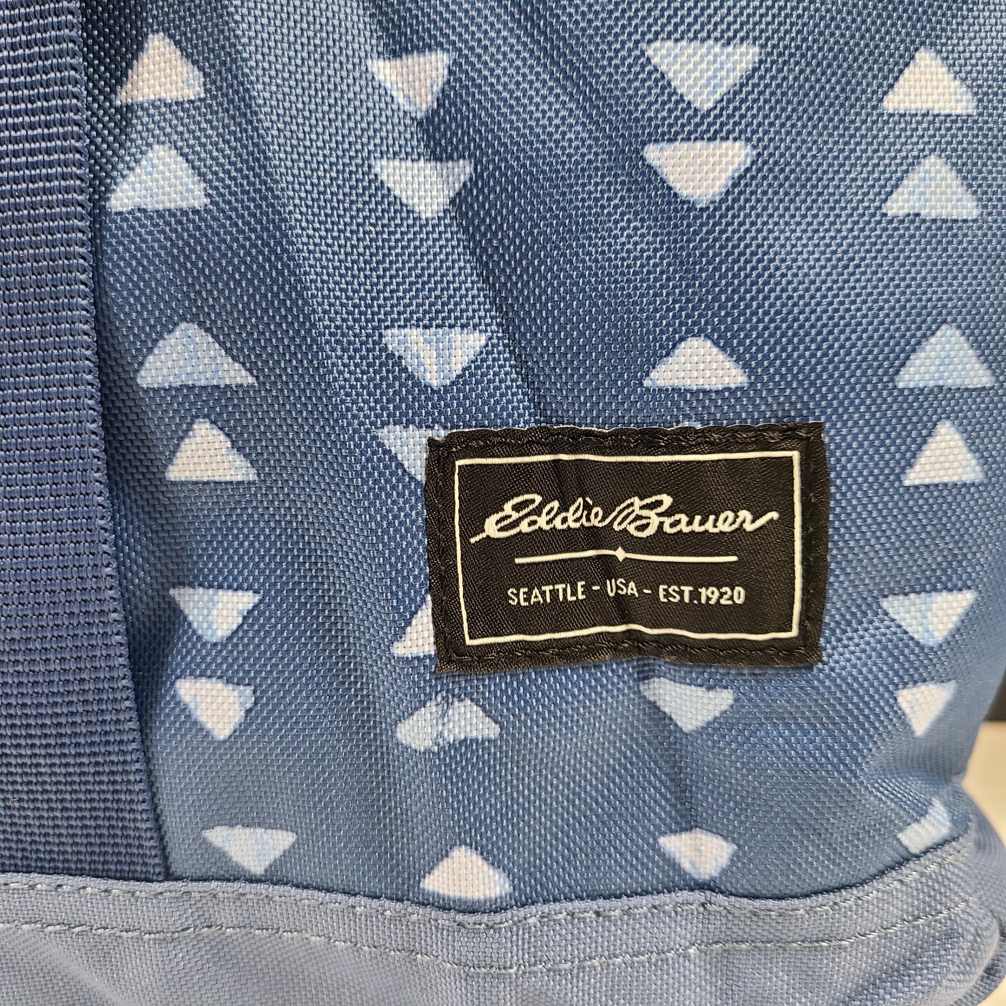 Eddie Bauer Bygone Cooler Backpack Picnic Hiking 20 L Blue New