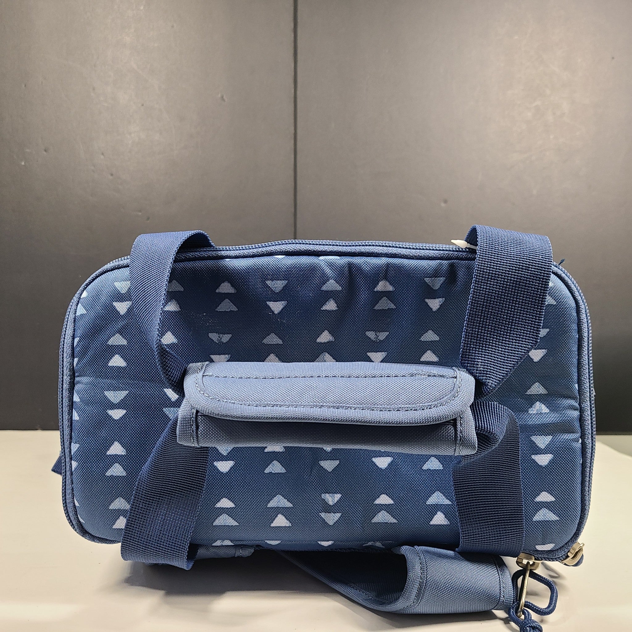 Eddie Bauer Bygone Cooler Backpack Picnic Hiking 20 L Blue New