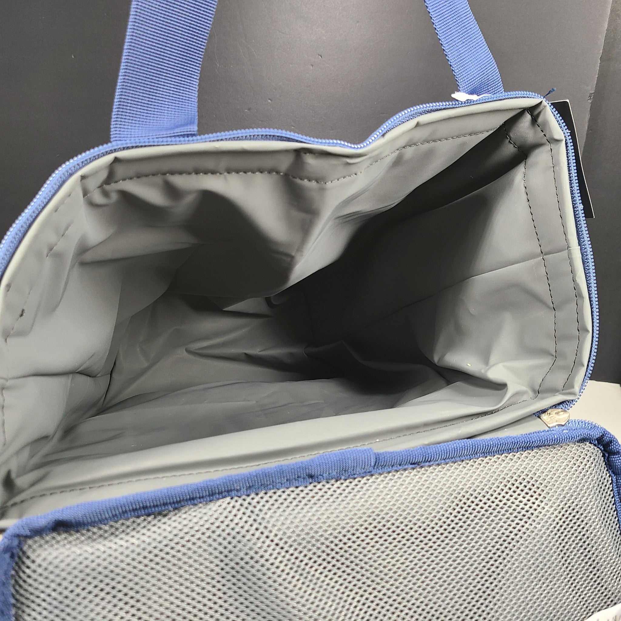 Eddie Bauer Bygone Cooler Backpack Picnic Hiking 20 L Blue New
