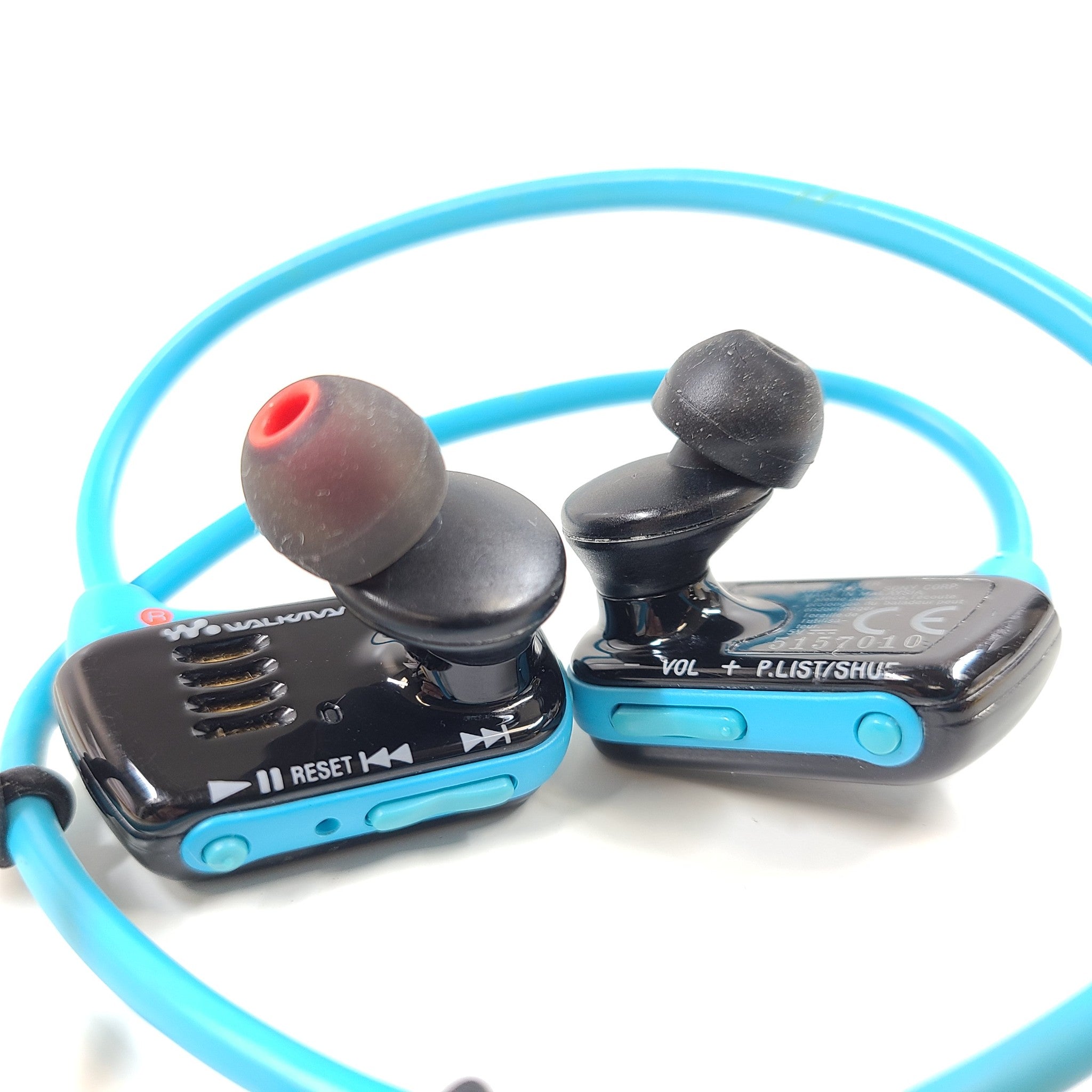 Sony Walkman NZW-W273 Blue (4 GB) Digital Media MP3 Player