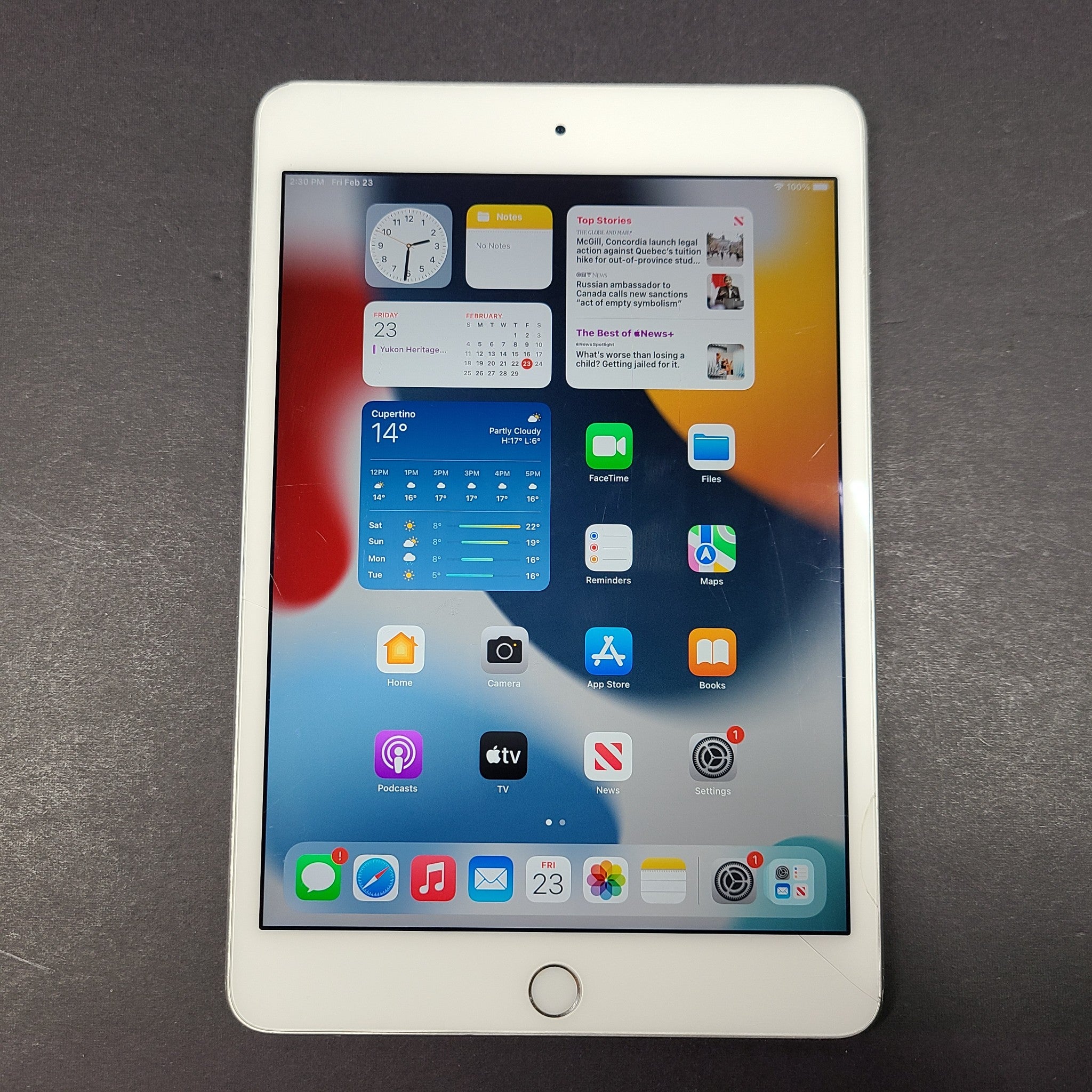 Apple iPad mini 4 (4th Gen) 128GB, Wi-Fi, 7.9in iOS Tablet A1538 - Silver READ