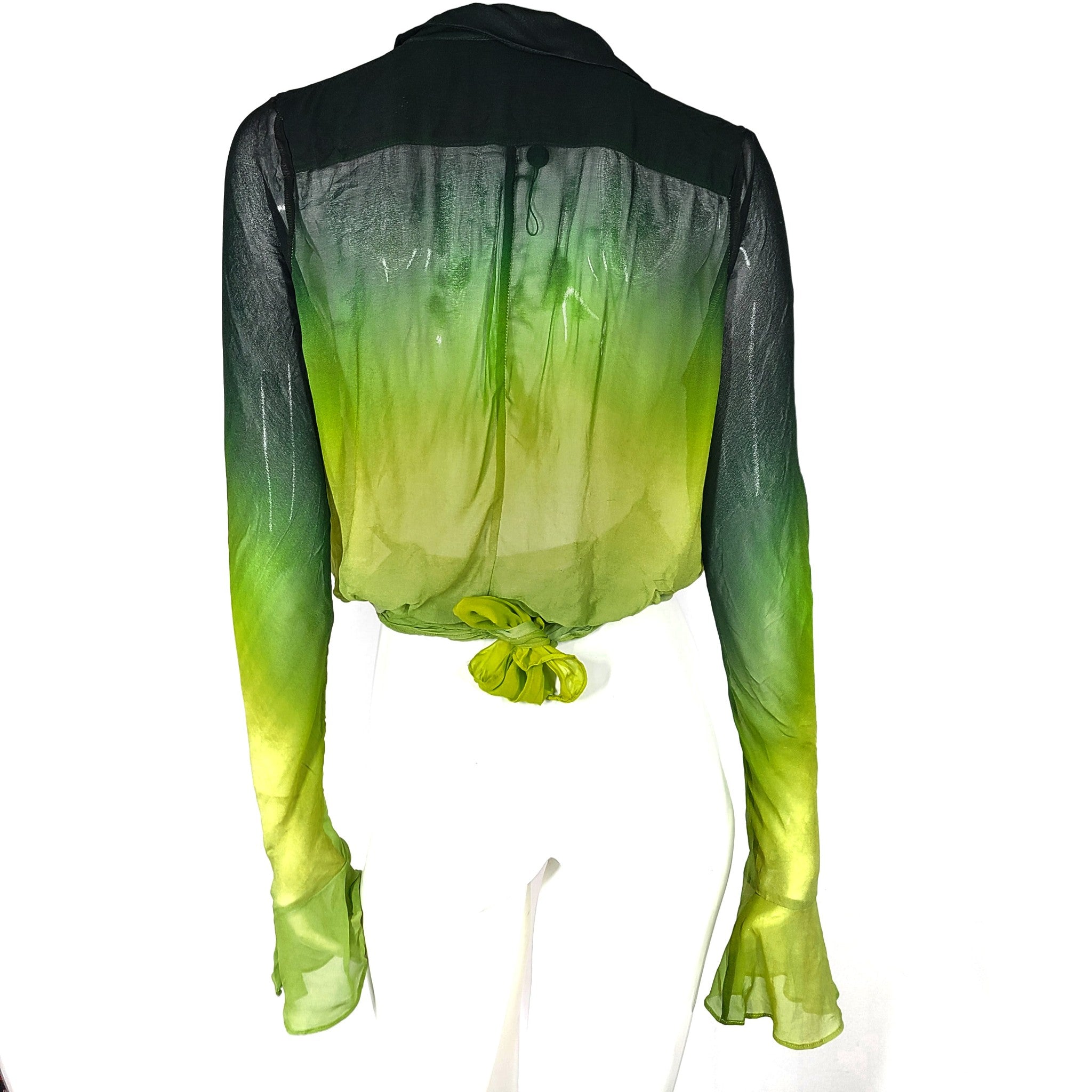 Rat & Boa Women's Cypress Shirt Tie Down Sheer Long Sleeve Ombre Green Sz S