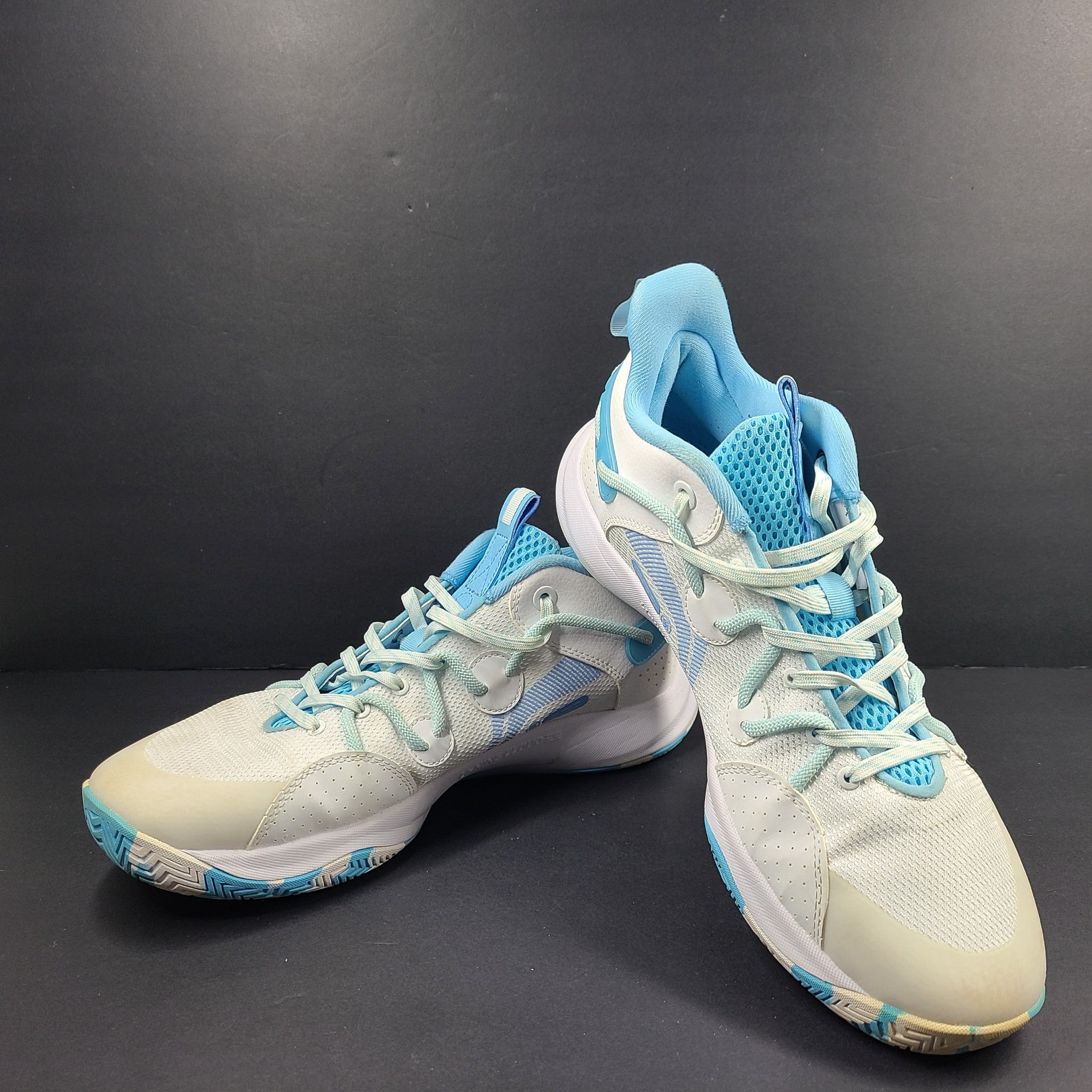 Li-Ning Speed Team Low Professional Basketball Sneakers Shoes White Blue 11