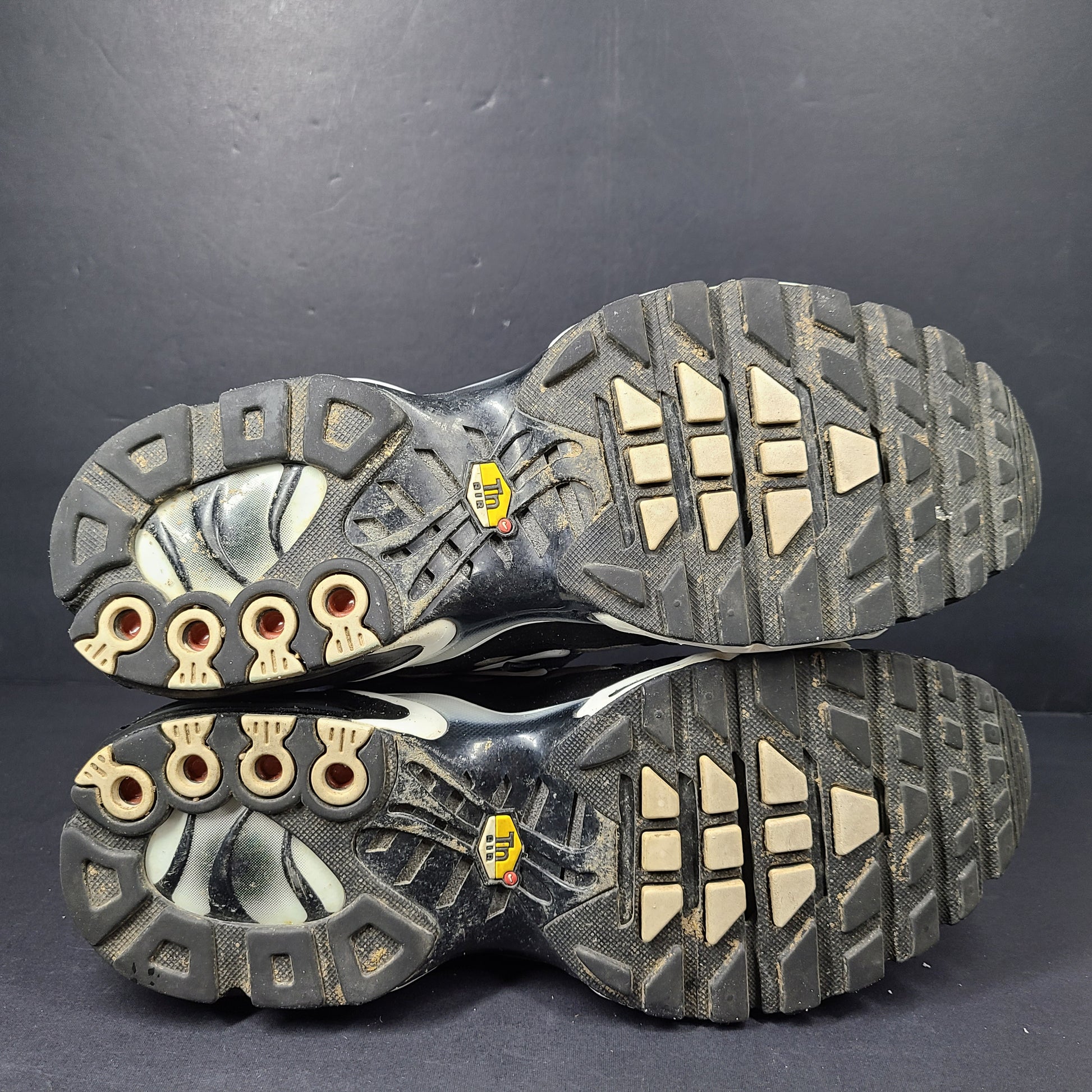 A pair of stylish Nike Air Max Plus Tn DM0032-003 Black/White Men's Shoes Size 8.5