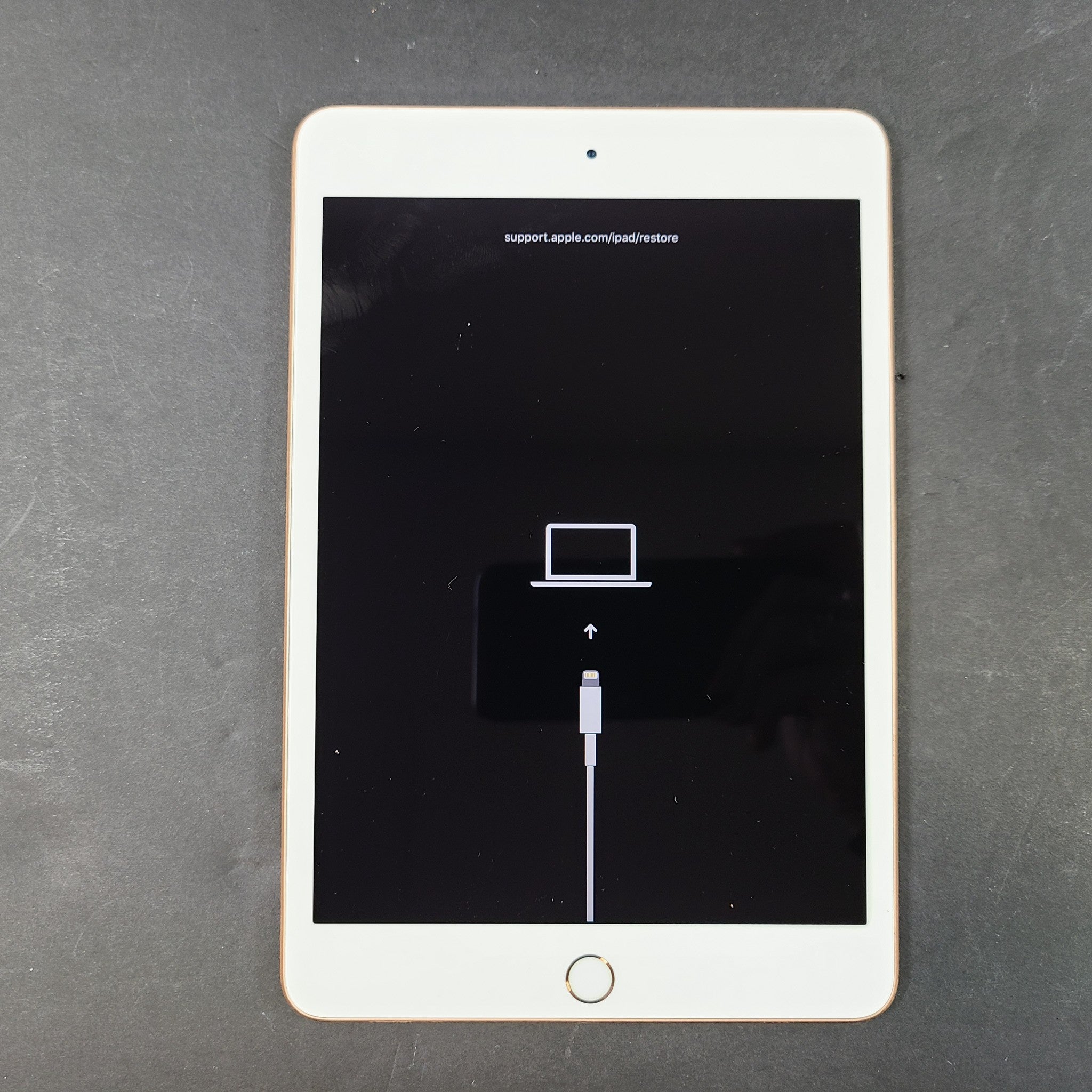 Apple iPad Mini 5 (5th Generation)  WiFi, 7.9in, A2133 Rose Gold FOR PARTS