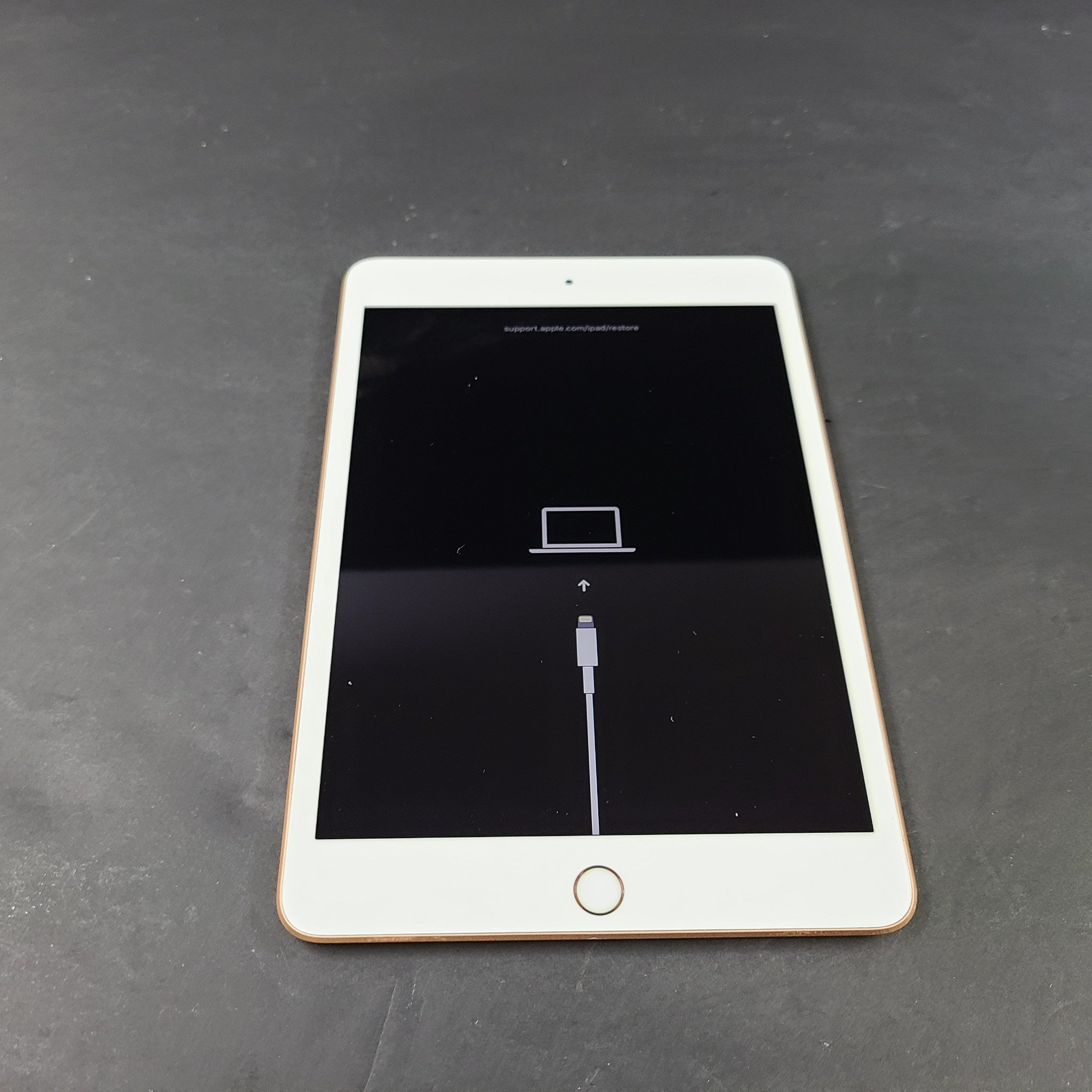 Apple iPad Mini 5 (5th Generation)  WiFi, 7.9in, A2133 Rose Gold FOR PARTS