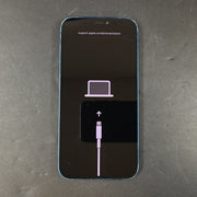 Apple iPhone 12 Blue iOS Smartphone A2402 FOR PARTS WONT BOOT