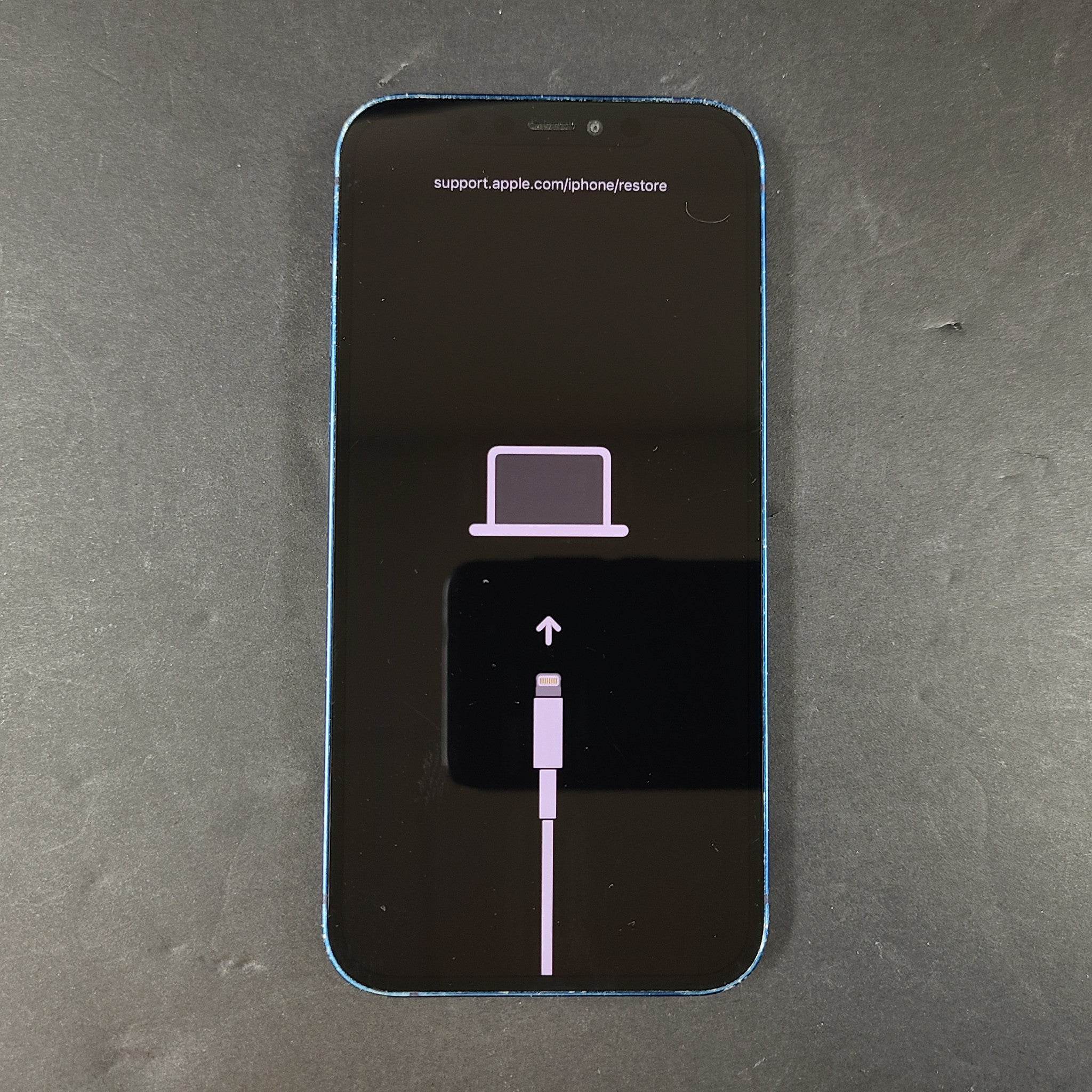 Apple iPhone 12 Blue iOS Smartphone A2402 FOR PARTS WONT BOOT